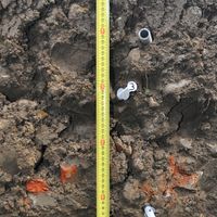 Samples taken in the Giudea cut with archaeological layers (Grumento Nova)