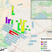 Fig. 1. Case study area and the sampling strategy of the Bassa Romandiola Project: transects with numbers have been already investigated, while the ones in pale blue have not yet.