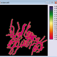 Fig. 9. Evidence watercourses (no. 6) within TerrSet software, after having applied the module Fuzzy necessary to define the archaeological potential
