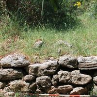 Fig. 3. Murgie, upper city wall. In this sector, 357 m a.s.l., the wall can be seen which develops from east to west over 4.50 m and the wall is 80 cm height. There are several squared and regular blocks and the biggest one is 62 cm in length. These sizes show the structure difference compared to the middle wall which presents much bigger sandstone blocks. The thickness of the wall is not able to be analyzed because of thick vegetation. The building technique seems to be pseudo-isodomum. There are parallelepiped blocks usually cut in an approximate way and arranged irregularly. (Image by Author)