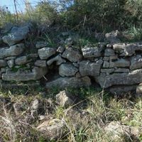 Fig. 6. Mugie; This wall portion has been cleaned during the 80’s by the excavation managed by the Superintendence, which discovered some graves of the 7th century BC located at 334 m a.s.l. The building technique of the wall is pseudo-isodomum; part of the wall can be transversally measured in addition to sandstone rocks, usually small and cut, positioned in relation to bigger blocks which reach 1.70 m of height with the presence of back fill as well.
Part of the wall is still intact thanks to the vegetation thickness that has protected the conservation of this piece. (Image by Author)