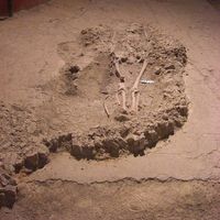 Fig. 2. Tomb 175. This burial cuts the Late Imperial floor. If the anthropological remains will be deemed well preserved, this skeleton will be analyzed with radiocarbon method