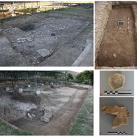 Fig. 3: A-B-C Survey areas of the first excavation season of the University of Bologna (2017); D: stamp “Iovei Sacrum” on black glazed cup; E: terracotta horse head relating to a continuous frieze from the area of the main temple.