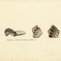 Fig. 16. Architectural terracotta found during the Maiuri excavations in the sanctuary of Apollo (drawing R. Oliva). 