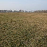 Fig. 4. Survey area to the north of the 2007-2009 excavations (Photo Sophie Hay).