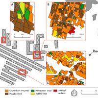 Fig. 8. Three different sampled transects: Land use / land cover proportion in each one.