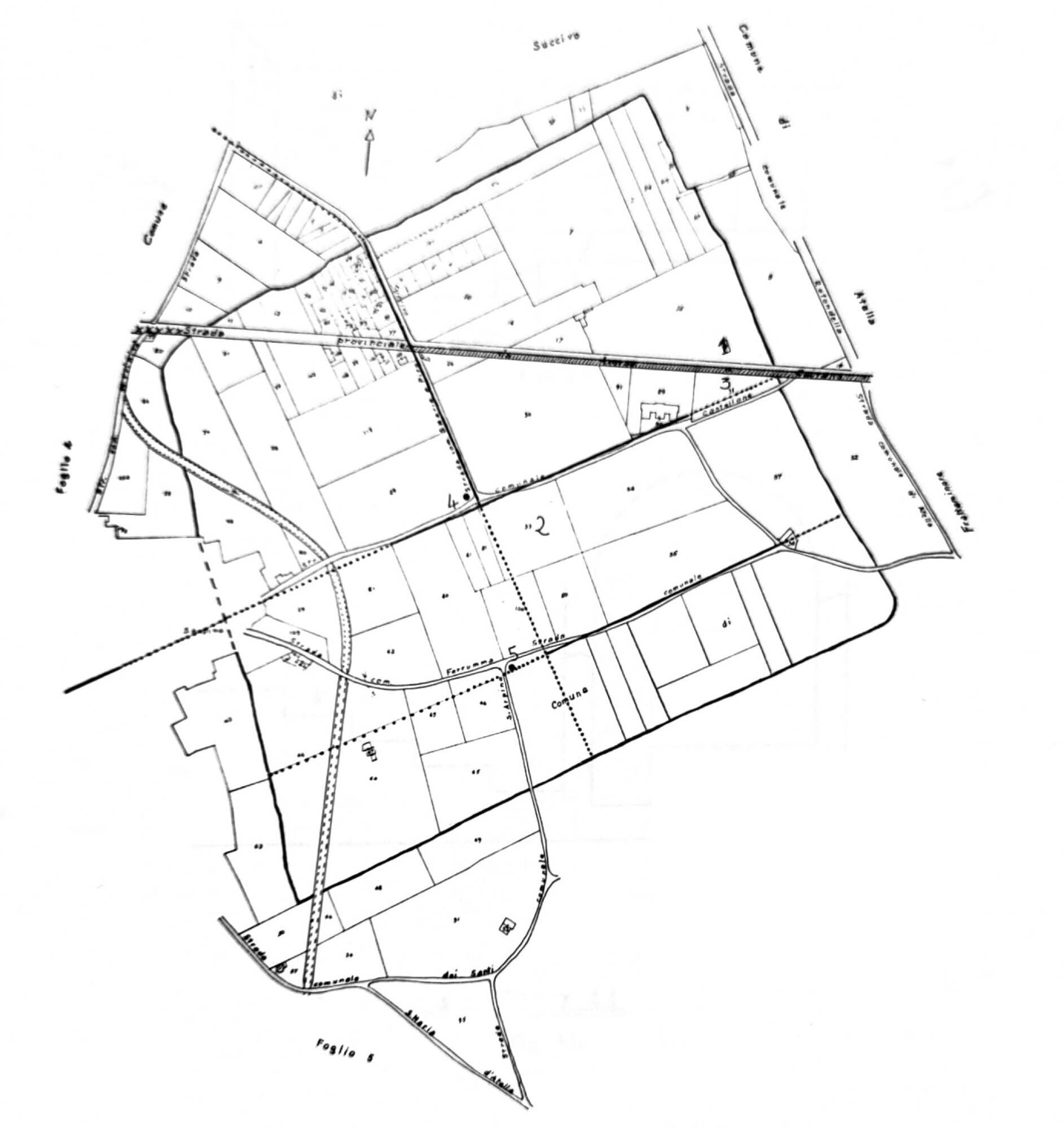 Figure 6 - The archaeological plan of Atella proposed by Bencivenga Trillmich (1984).