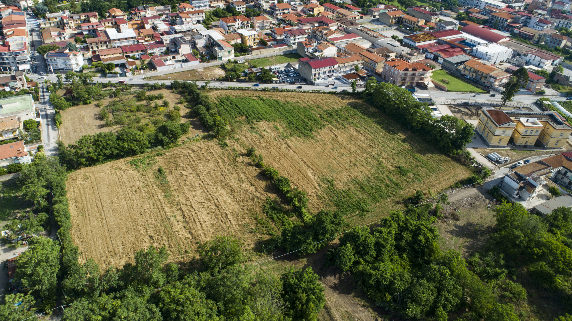 Figure 13 - Aerial view of the 2023 survey area (cadastral unit 30) covered by earlier magnetometry survey (L.
Ceruleo).