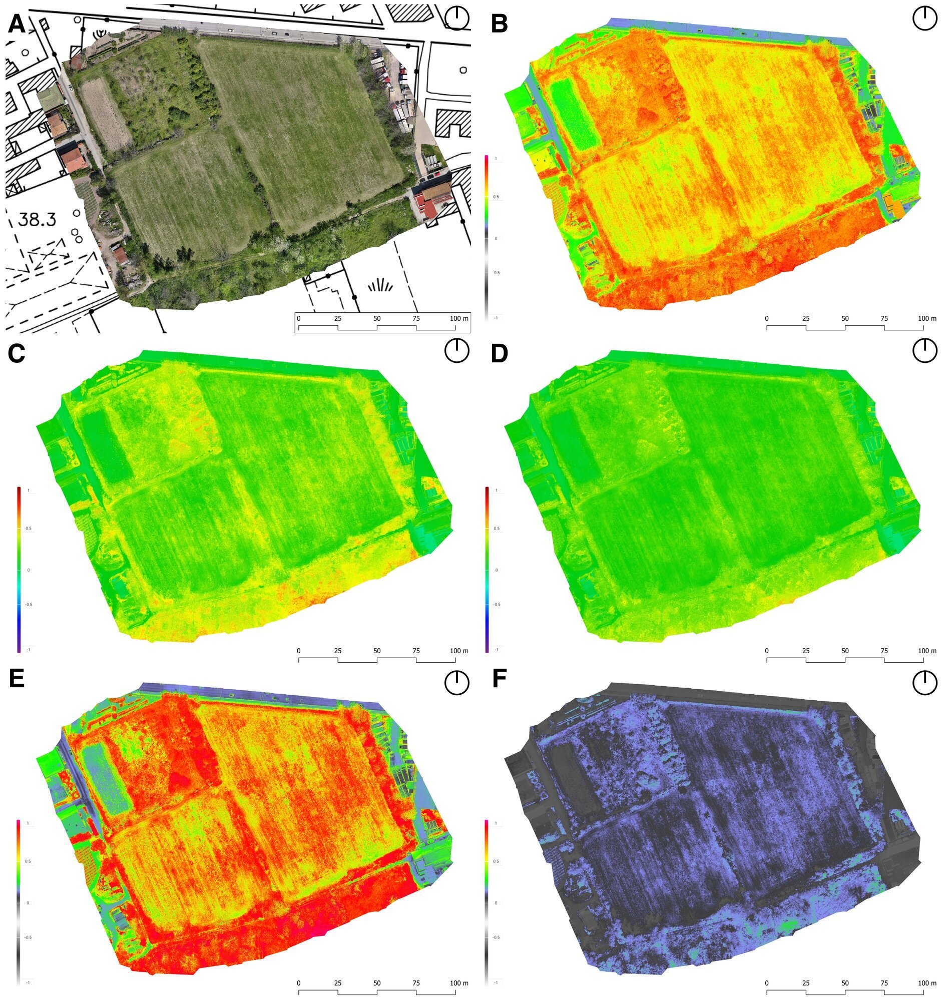 Figure 14 - Orthophoto of the 2023 survey area comparing the panchromatic image (A, RGB) with the multispectral
indices: B) GNDVI, C) LCI, D) NDRE, E) NDVI, F) OSAVI (R. Brancato. G. Luongo, V. Mirto).