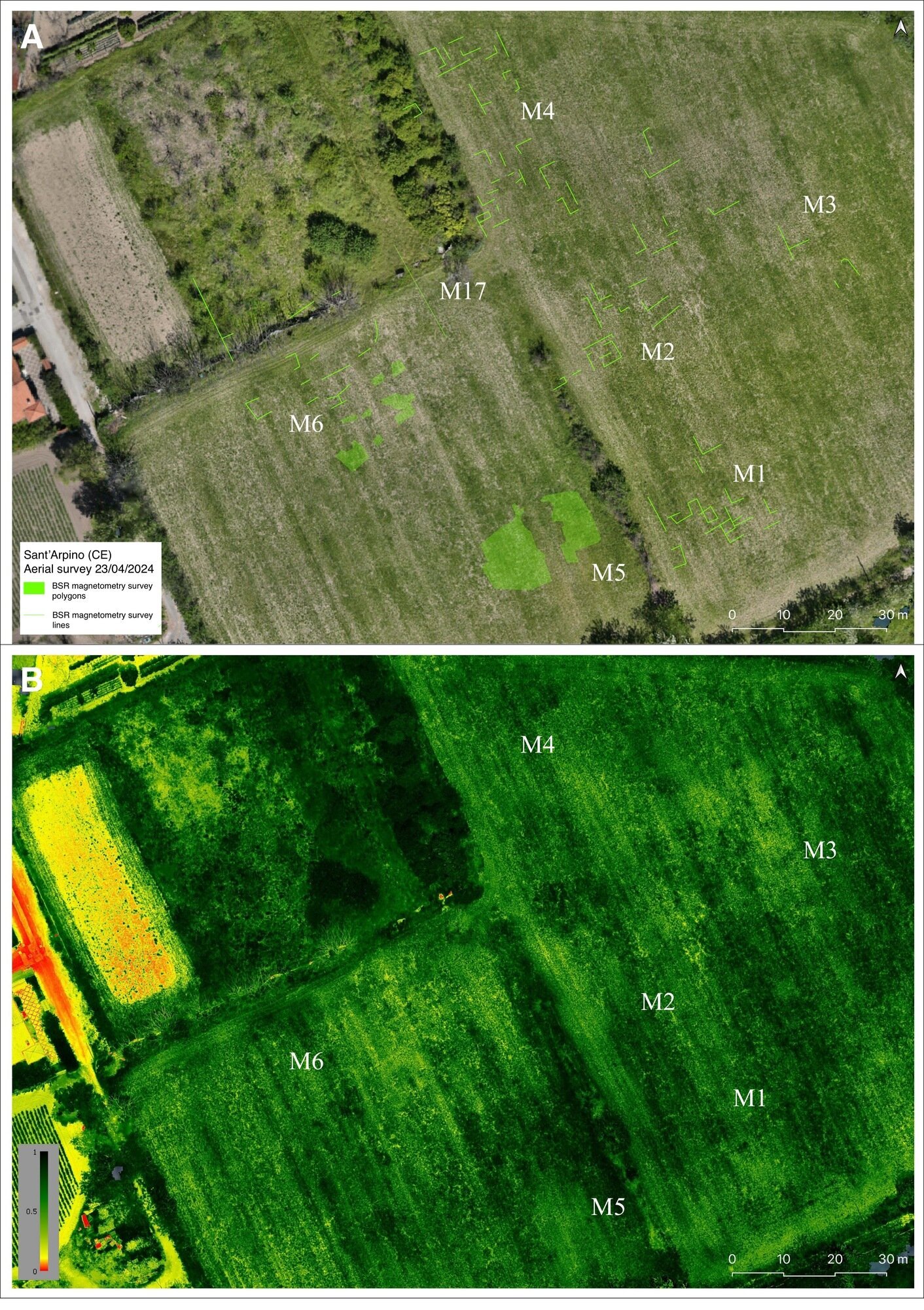Figure 16 - 2023 survey area (cadastral unit 30), panchromatic and NDVI orthophoto plan annotated with the
results of the magnetometry survey (R. Brancato, G. Luongo).