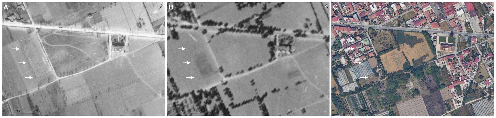 Figure 17 - The chromatic anomaly west of the 2023 survey area (cadastral unit 30) (A. RAF 1945; B. VB IGM 1954; C.
Satellite imagery (Google Earth 2024) (R. Brancato).