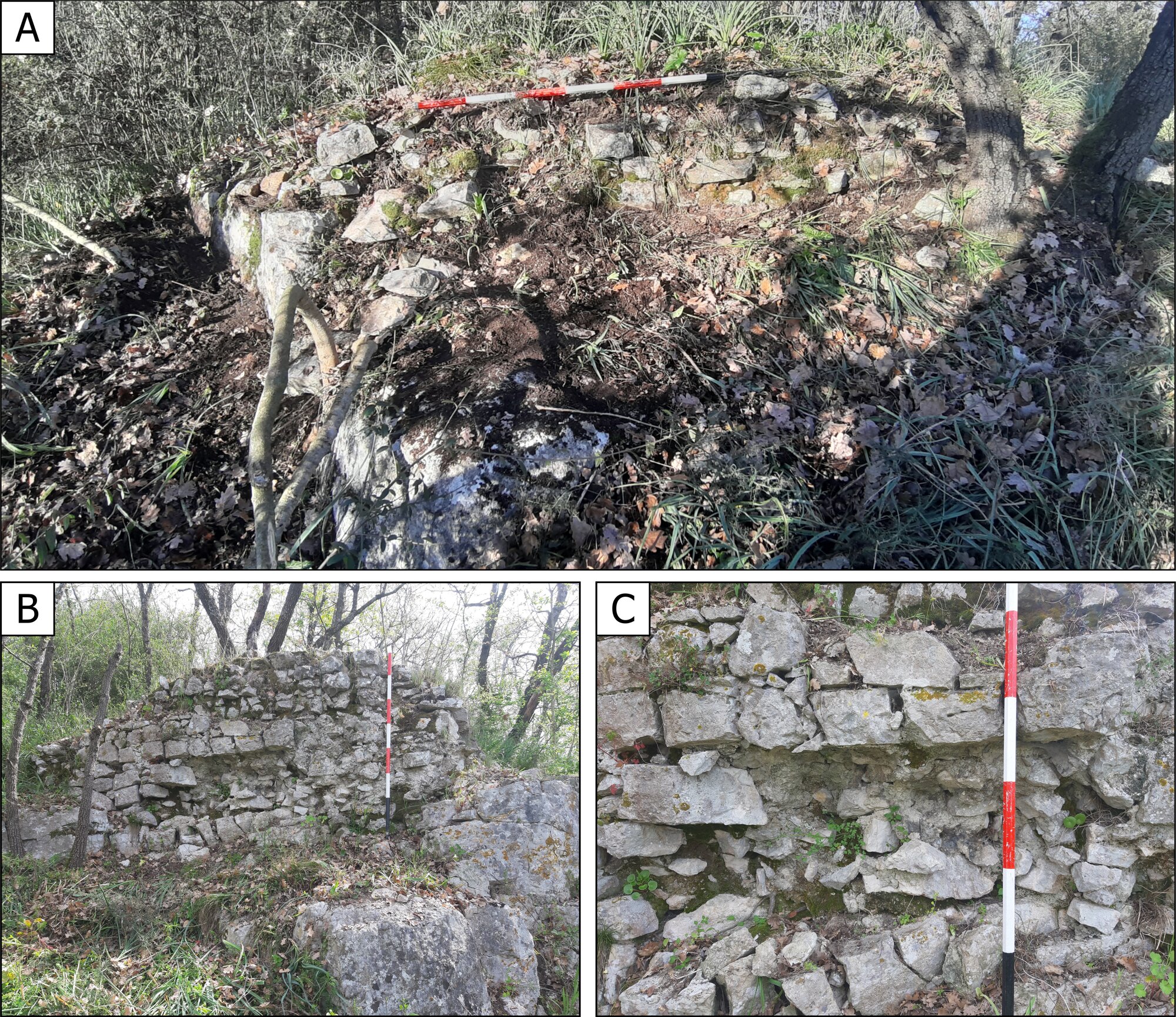 Figure 9 - A. Remains of a wall partition, located to the south. B. External side of the south-east wall; C. Detail of the
internal core.