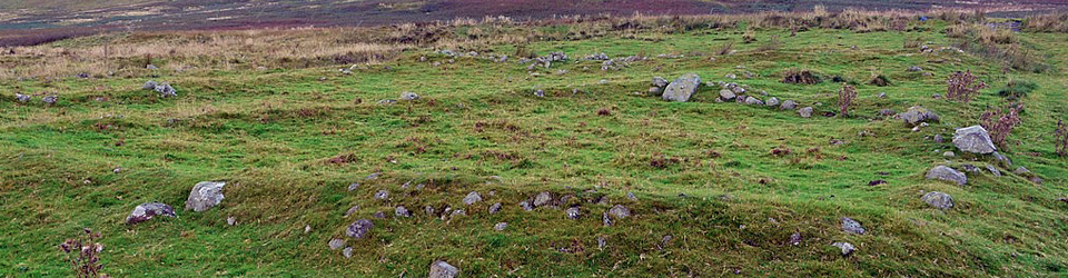 Photograph of medieval settlement remains