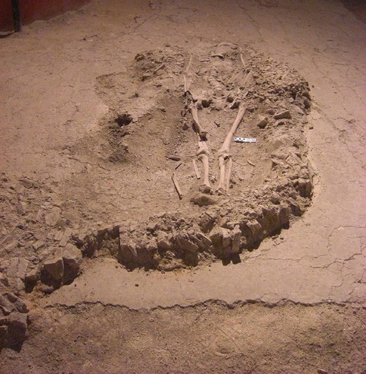 Archaeological Analysis