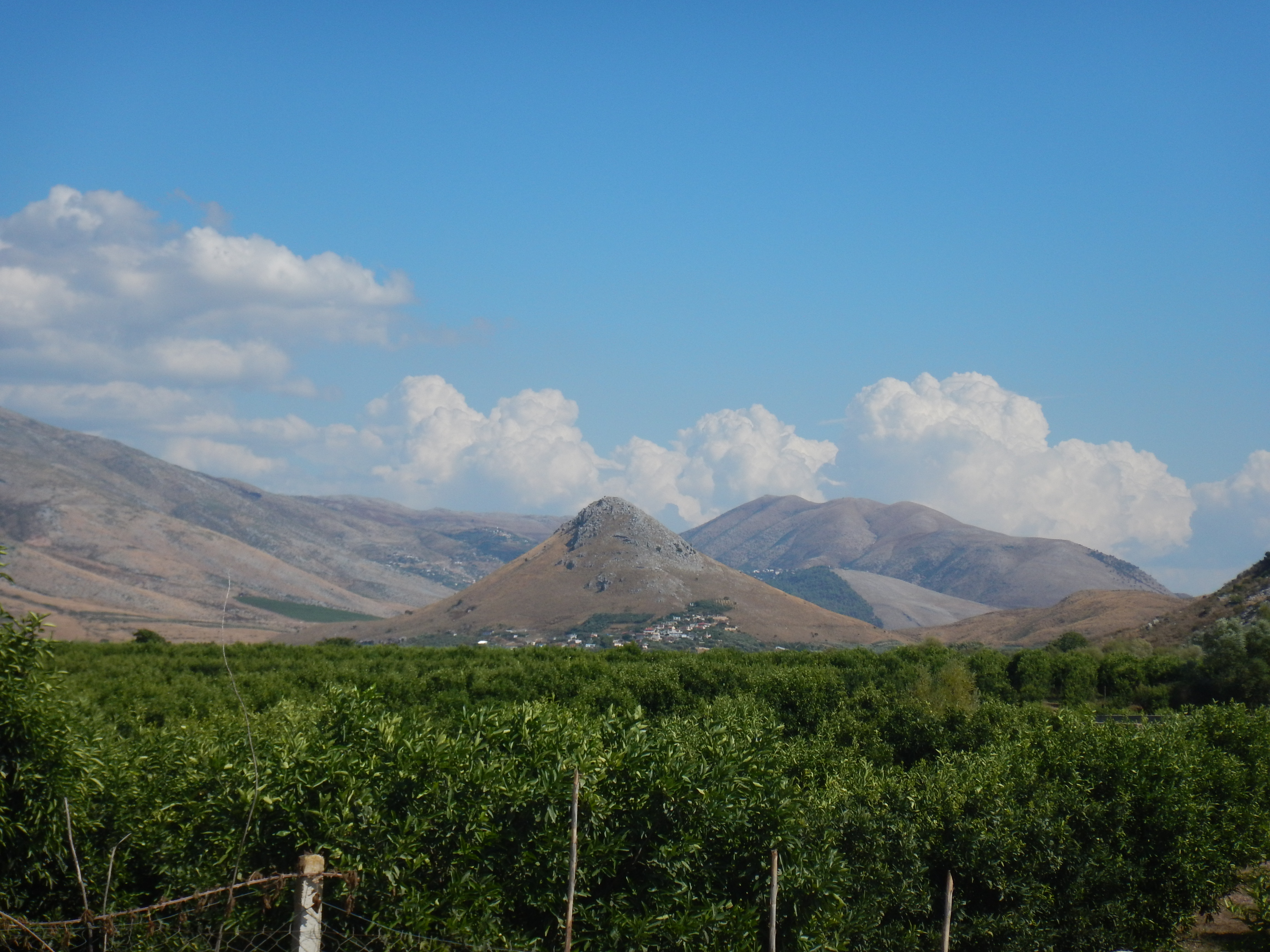 Documenting a hilltop settlement: methodologies and preliminary results of the joint Albano-Italian project at Çuka e Ajtoit (Albania)